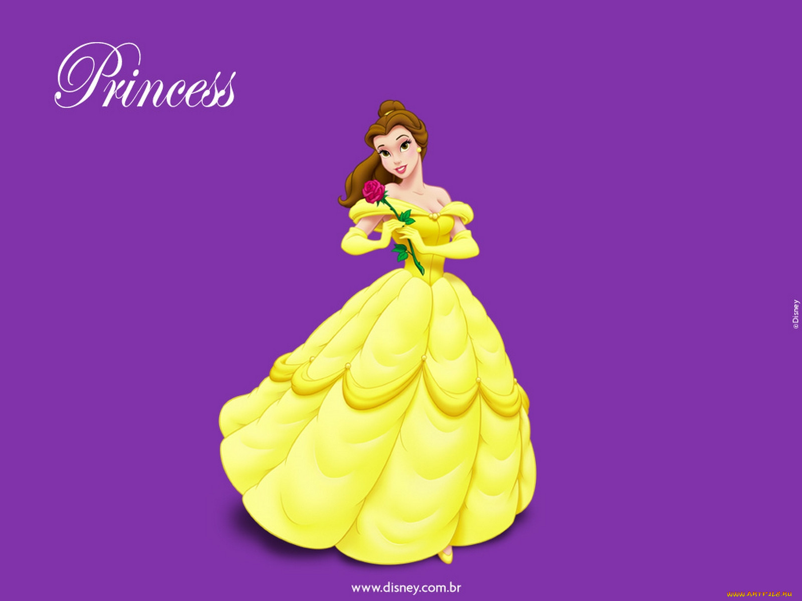 , beauty, and, the, beast